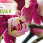 sommer